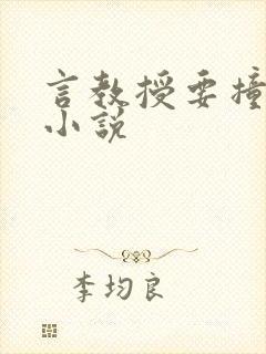 言教授要撞坏了小说