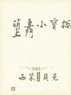 萌妻小宝总裁找上门