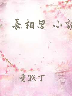 长相思 小说