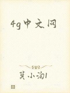 4g中文网
