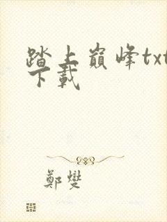 踏上巅峰txt下载