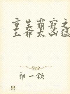 重生霸宠之摄政王爷太凶猛