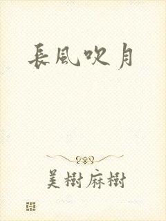 长风吹月