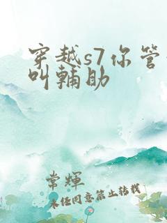 穿越s7你管这叫辅助