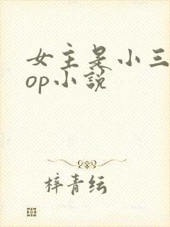 女主是小三的pop小说