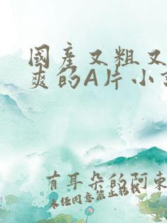 国产又粗又黄又爽的A片小说