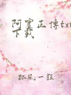 阿宾正传txt下载