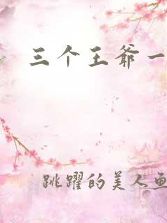 三个王爷一个妃