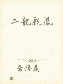 二龙戏凤