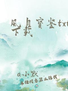 风月宝鉴txt下载