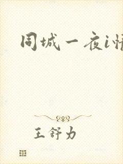 同城一夜i情