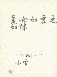 美女如云之高手如林