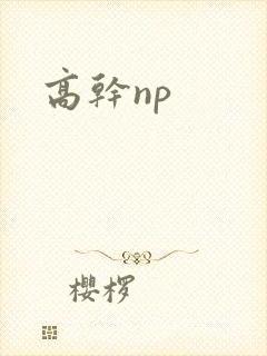 高干np