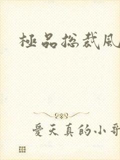 极品总裁风流录