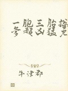 一胞三胎总裁爹爹超凶猛免费阅读