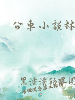 公车小说林蔓蔓