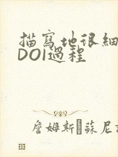 描写地很细致的DOI过程
