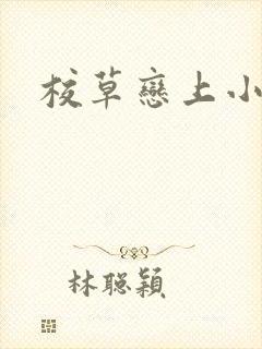 校草恋上小丫头