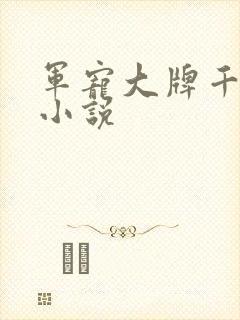 军宠大牌千金 小说
