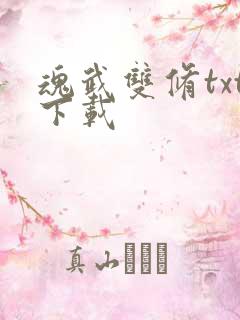 魂武双修txt下载