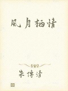 风月栖情