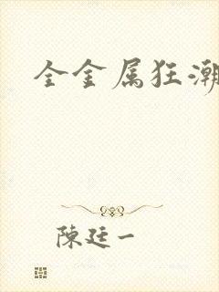 全金属狂潮小说