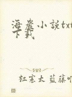 海岩小说txt下载