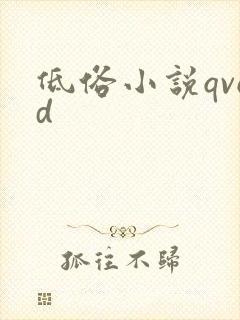 低俗小说qvod