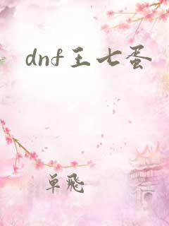 dnf王七蛋
