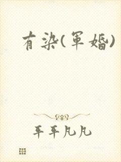 有染(军婚)
