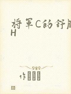 将军C的舒服么H