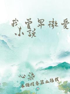 我曾卑微爱过你 小说