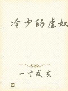 冷少的虐奴