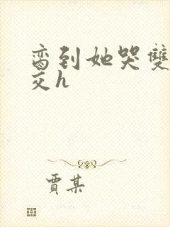 脔到她哭双根宫交h