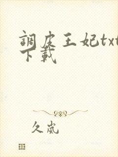 调皮王妃txt下载
