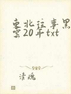 东北往事黑道风云20年txt