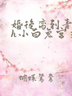 婚后脔到青梅哭h小白兔宫交h