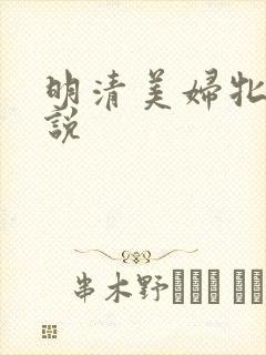 明清美妇牝户小说