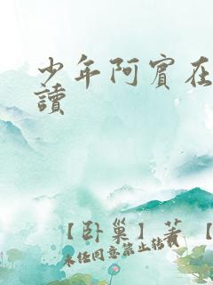 少年阿宾在线阅读