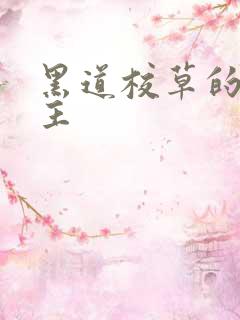 黑道校草的冷公主