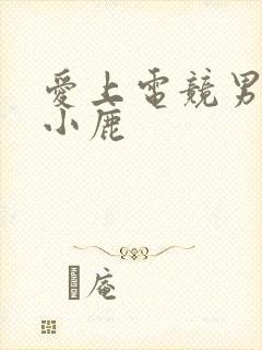 爱上电竞男神林小鹿