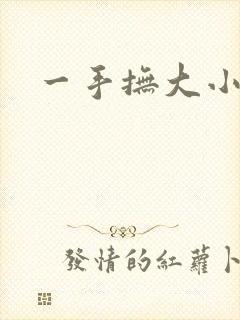 一手抚大小说