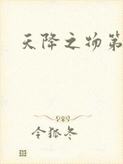 天降之物第一季