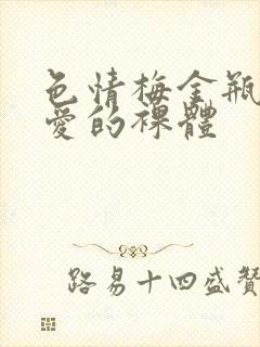 色情梅金瓶2之爱的裸体