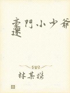 豪门小少爷是财迷