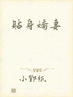 贴身娇妻