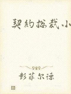 契约总裁小萌宝