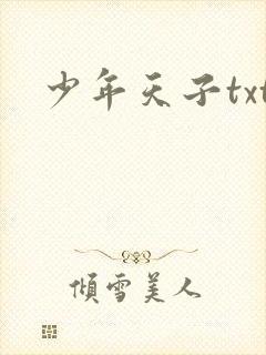 少年天子txt