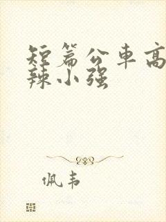 短篇公车高h肉辣小强