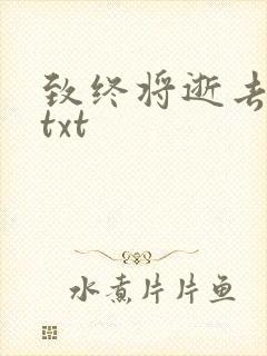 致终将逝去青春txt